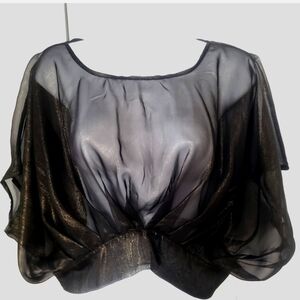 Sheer Black Metallic Cropped Top